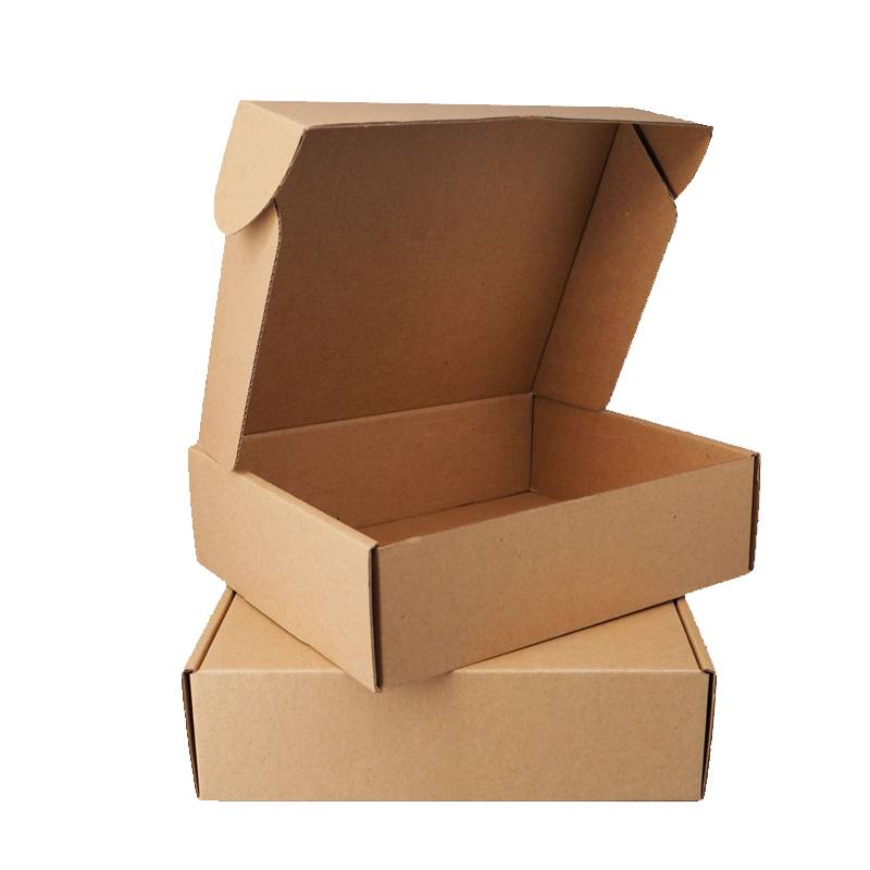 Hot Sale Special Hard Packing Box Kraft Mailer Boxes Carton Customized